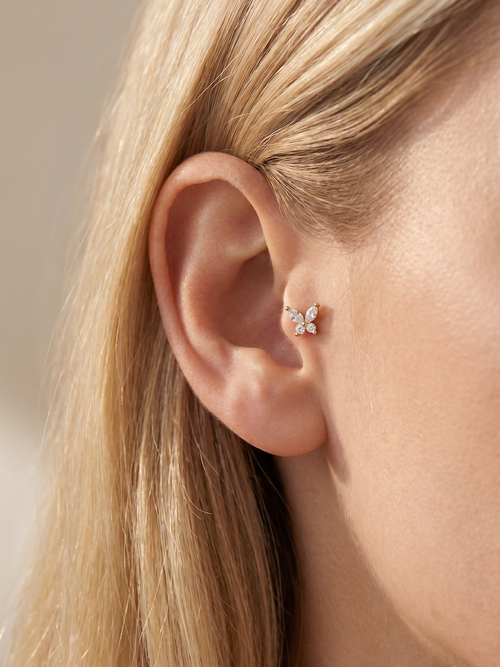 Archive Flutter Piercing