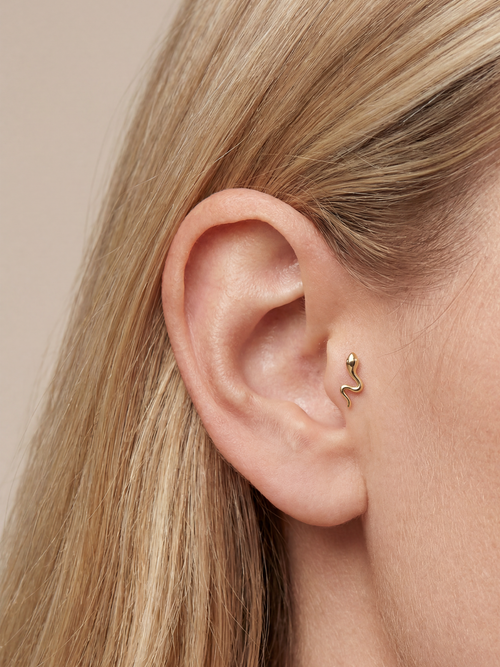 Archive Snake Piercing