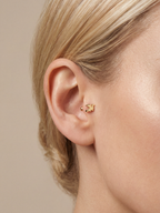 Archive Dragon Piercing