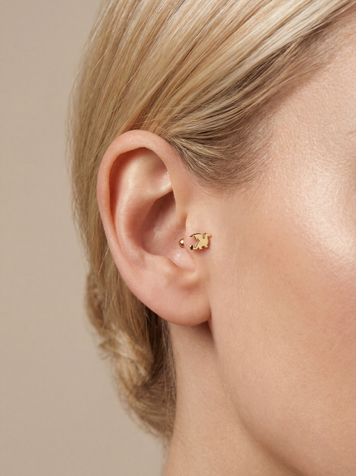 Archive Dragon Piercing