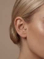 Archive Teddy Piercing