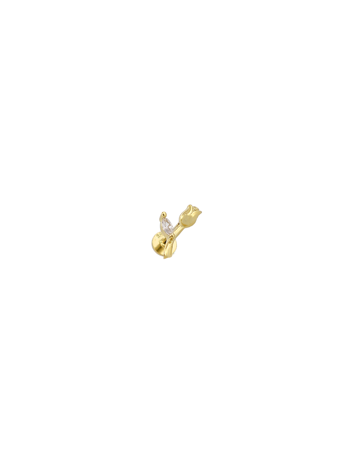 Gül Dalı Piercing
